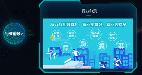 对冲定制软件app开发中的java语言